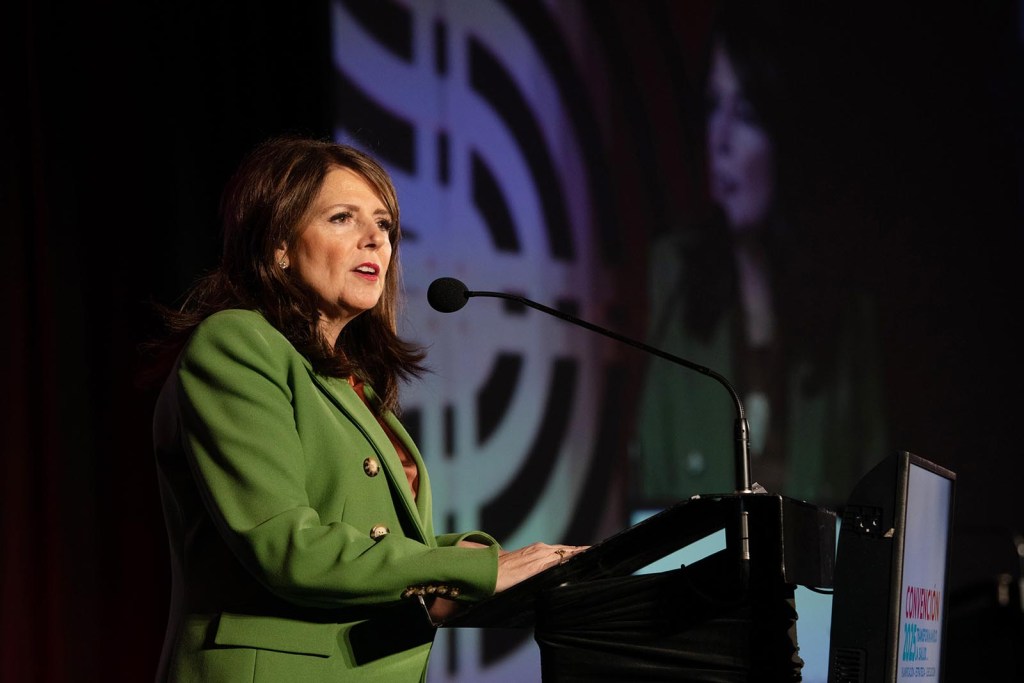 Michele K. Sutton, FACHE, CAE Chair - American College of Healthcare Executive (ACHE) President / CEO – North Oaks Health System